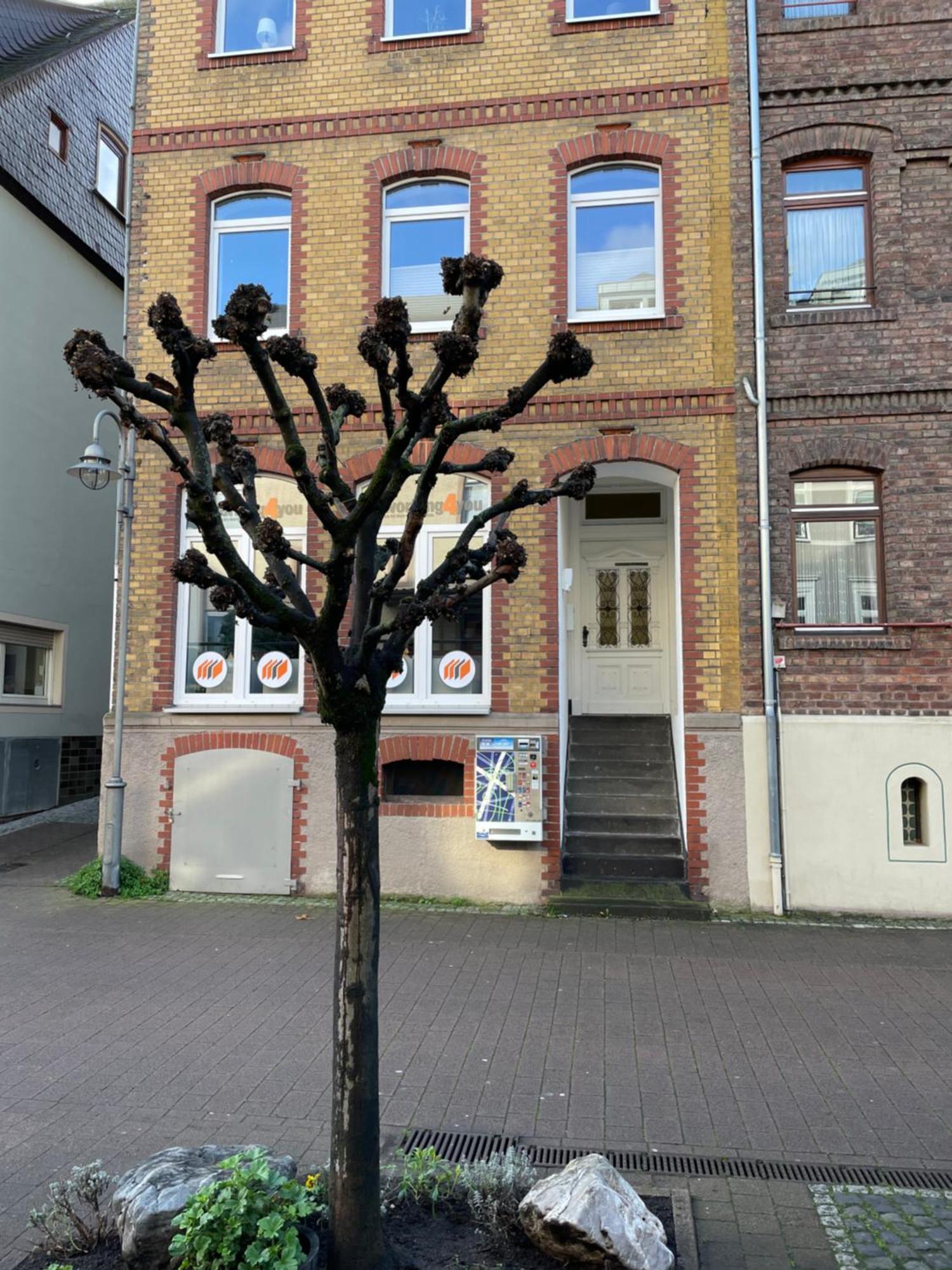 Good Times In St. Goar Apartment Sankt Goar Luaran gambar